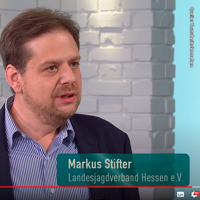 HR Live-Interview zur Afrikanischen Schweinepest