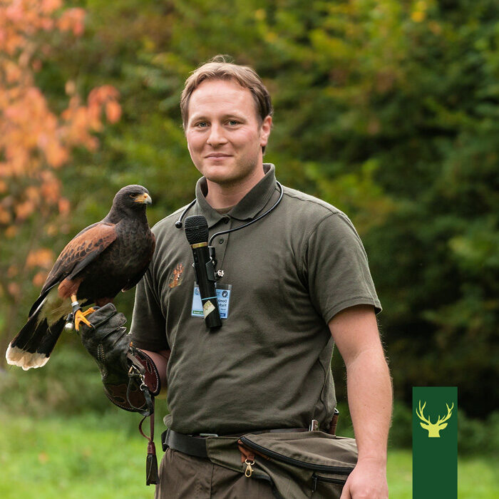 Jagd Podcast Jagdtalk #08: Die Geflügelpest / Vogelgrippe – Eine Gefahr für Wild- und Hausgeflügel sowie die Falknerei